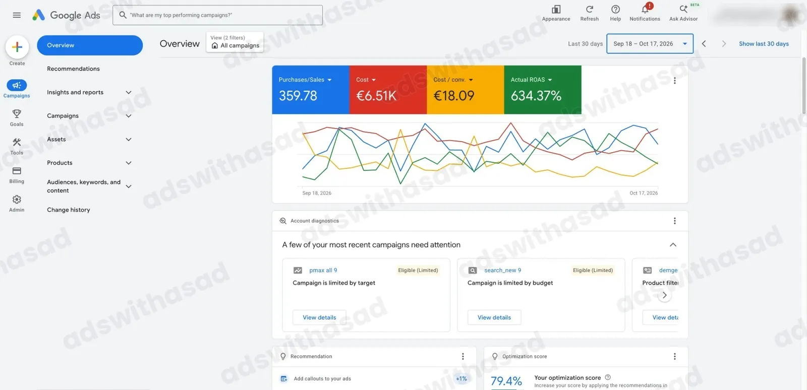 Google Ads reporting screenshot for E-commerce Store