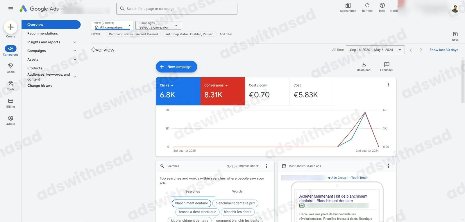 Google Ads reporting screenshot for E-commerce Store